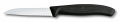 Paring Knife - Serrated