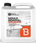 Born Silicone & Advance Mould Remover 4L