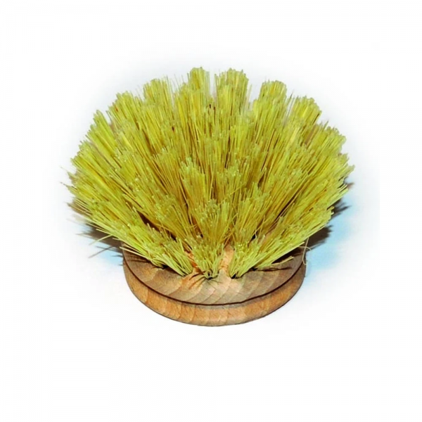 Wooden Dish Brush 40mm Replacment Head Products Waikato Cleaning   ECODR40 600x600c0pcenter 